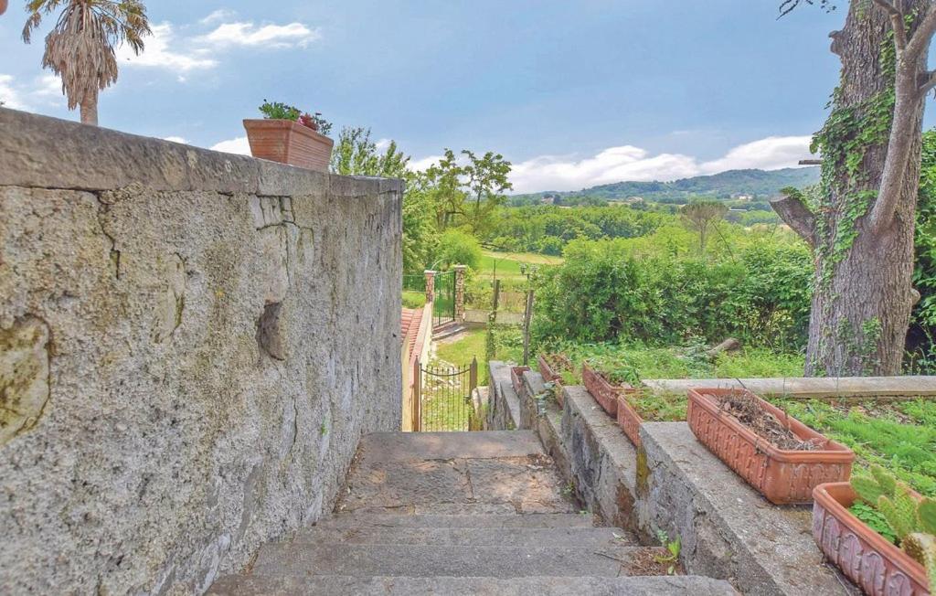 Ortensia * Alvignano